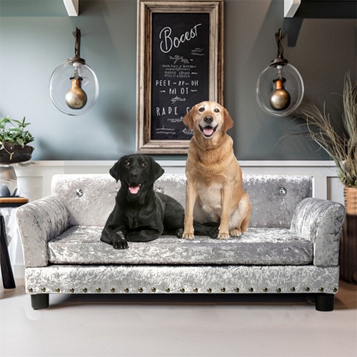 Luxurious pet friendly - luxurious, pet-friendly